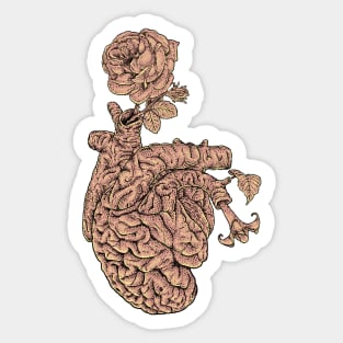 Brain Heart Sticker